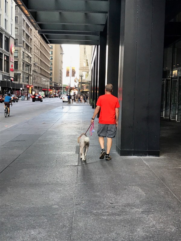 A man and his dog
