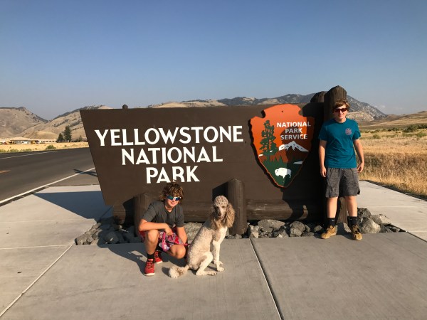 Yellowstone Arrival
