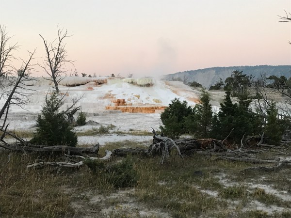 Mammoth Hot Springs